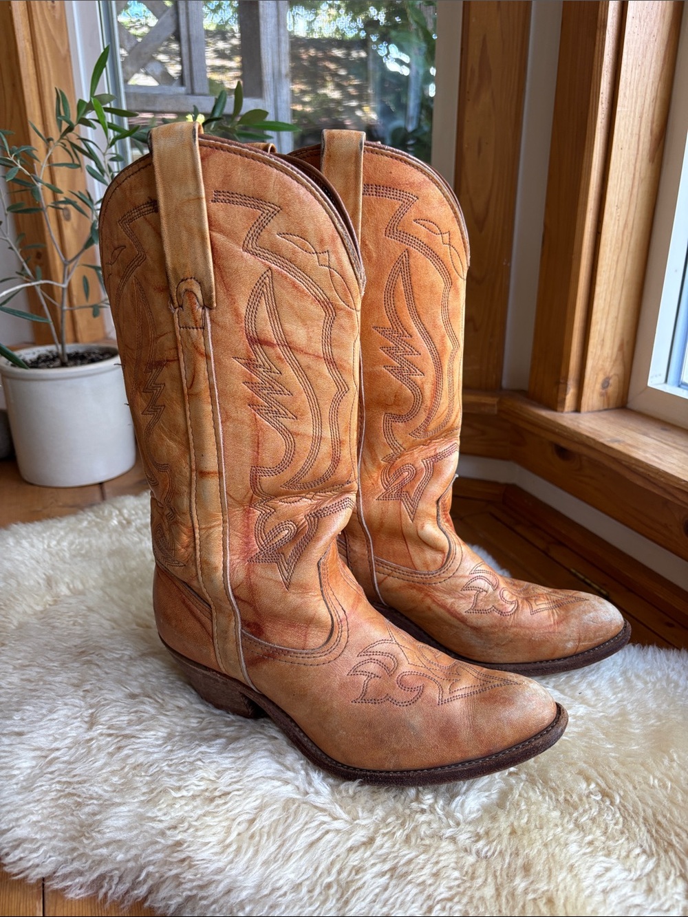 Vintage Embroidered Cowgirl Boots